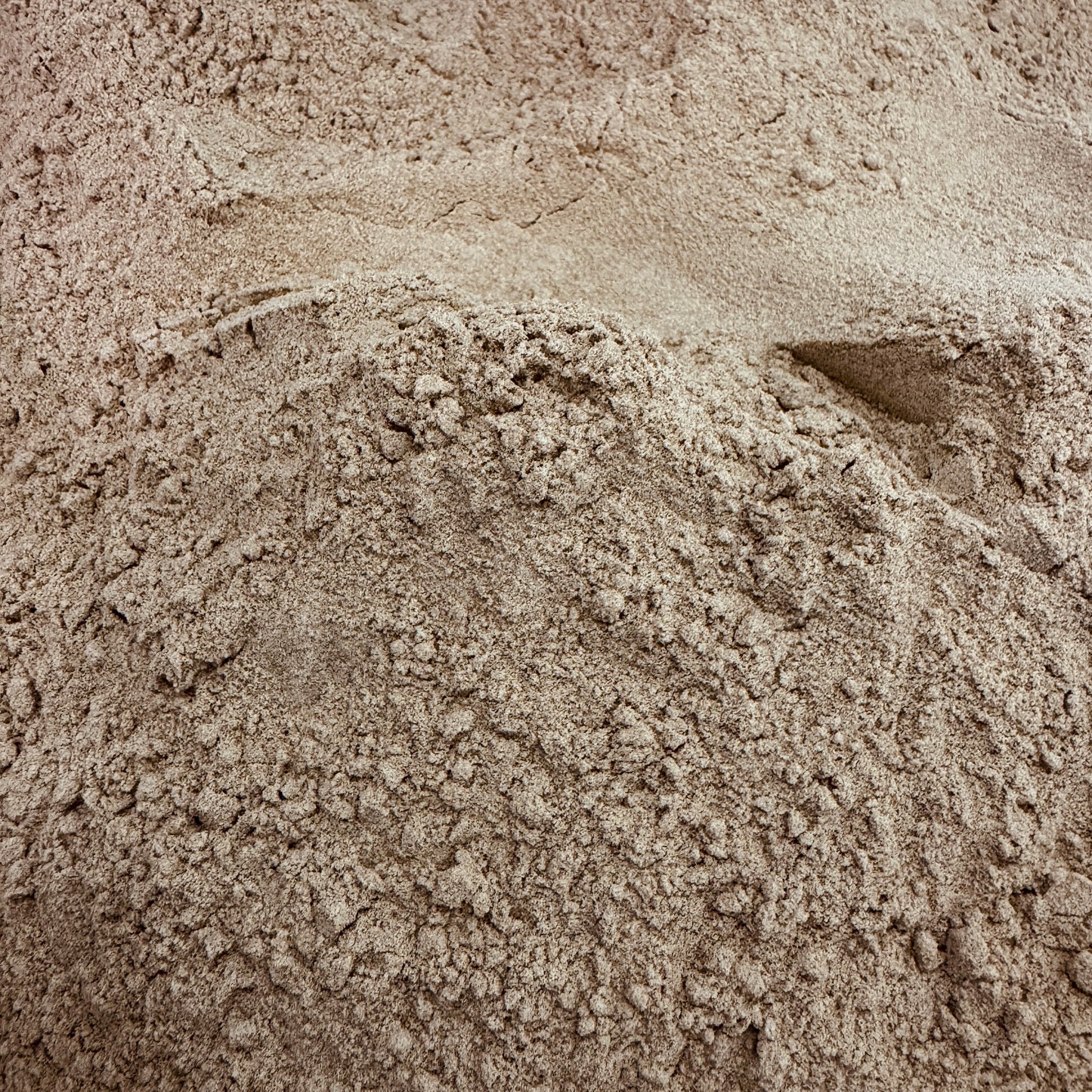 Brown teff